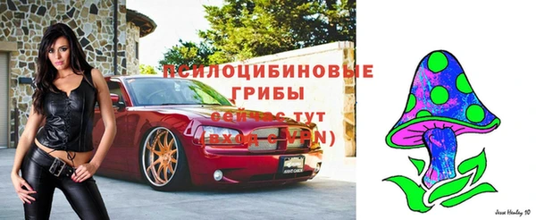 тгк Алзамай