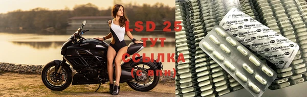 тгк Алзамай