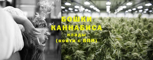 СК Протвино