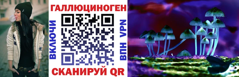 KRAKEN вход  Галич  Галлюциногенные грибы Psilocybe 